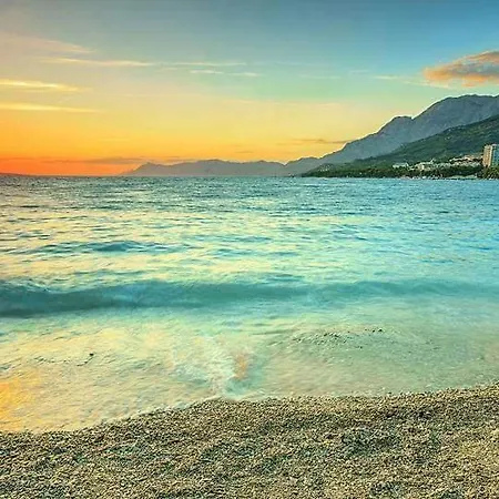 Aloha Apartment